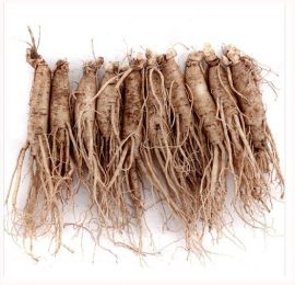 Sâm tươi Hàn Quốc Geumsan 9 củ 750g