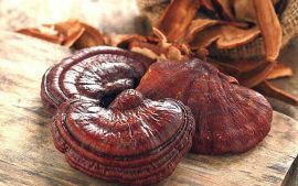Nấm linh chi Hàn Quốc gói 1000g