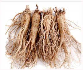 Sâm tươi Hàn Quốc Geumsan  4 củ 750g