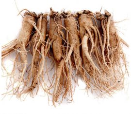 Sâm tươi Hàn Quốc Geumsan 5 củ 750g