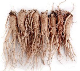 Sâm tươi Hàn Quốc Geumsan 7 củ 750g