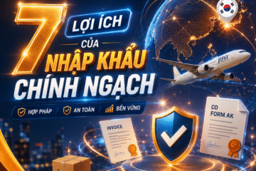 Khám phá 7 Lợi Ích Của Nhập Khẩu Chính Ngạch